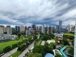 Irwell Hill Residences (D9), Apartment #502463601